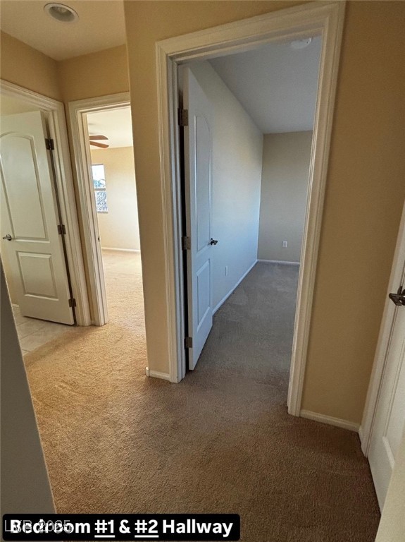 6717 Chambers Lake Court Property Photo 18