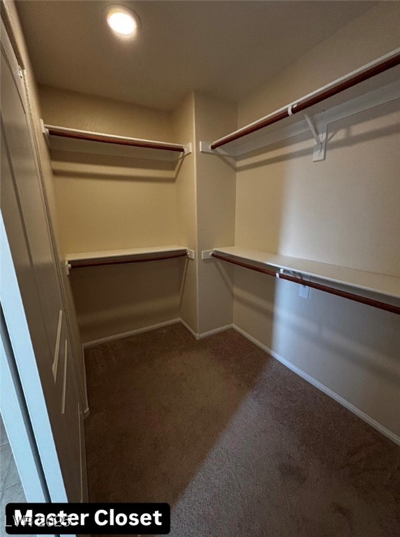 6717 Chambers Lake Court Property Photo 26