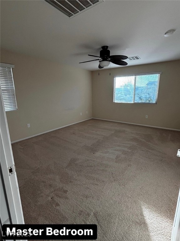 6717 Chambers Lake Court Property Photo 27