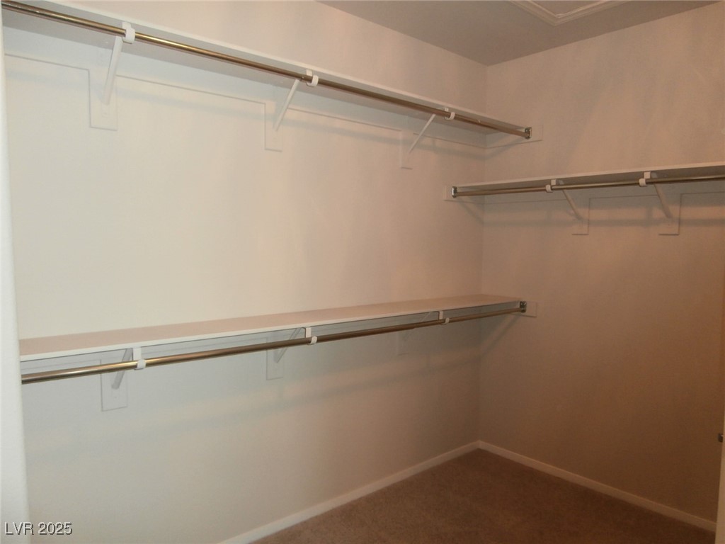 258 Blue Grotto Street Property Photo 22
