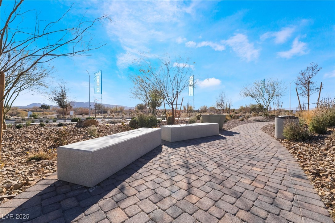 1109 Scarlet Sparrow Street Property Photo 33