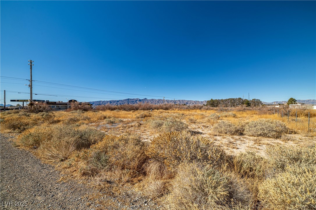 6970 Quarter Horse Avenue Property Photo 4