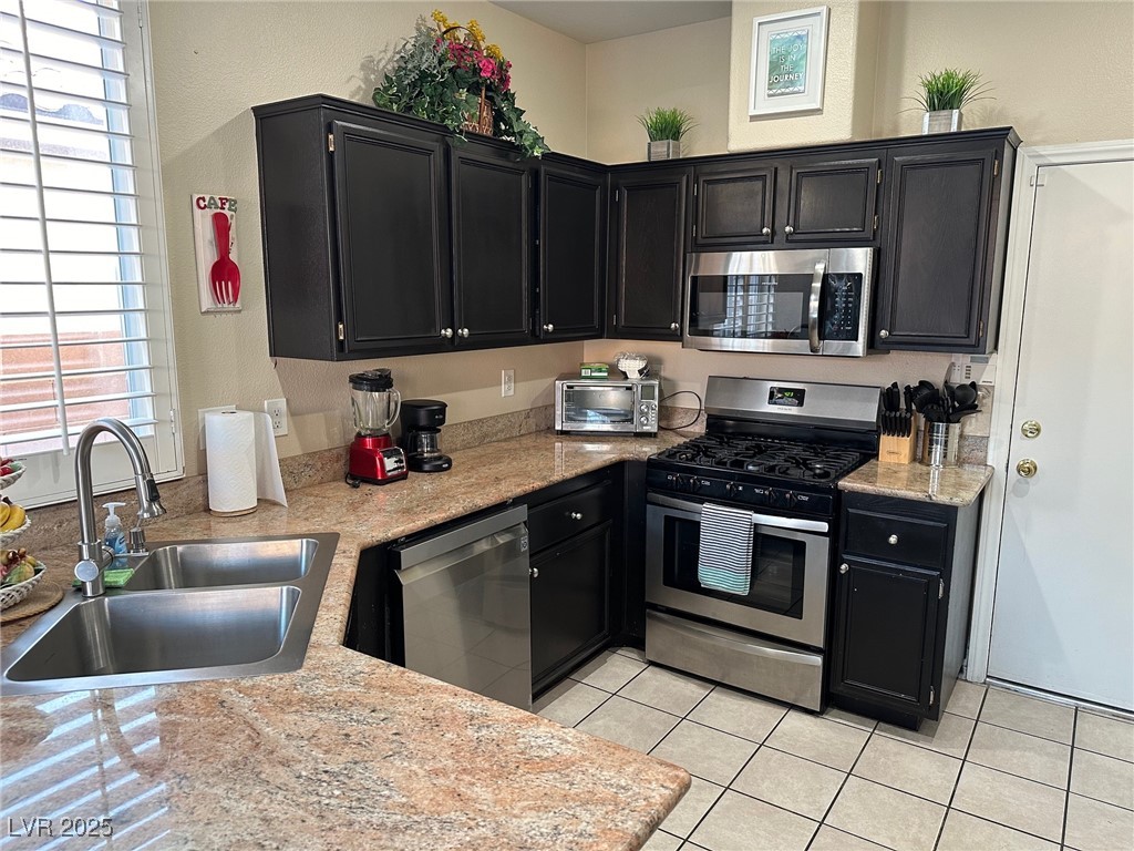 3346 Mountain Bluebird Street Property Photo 4