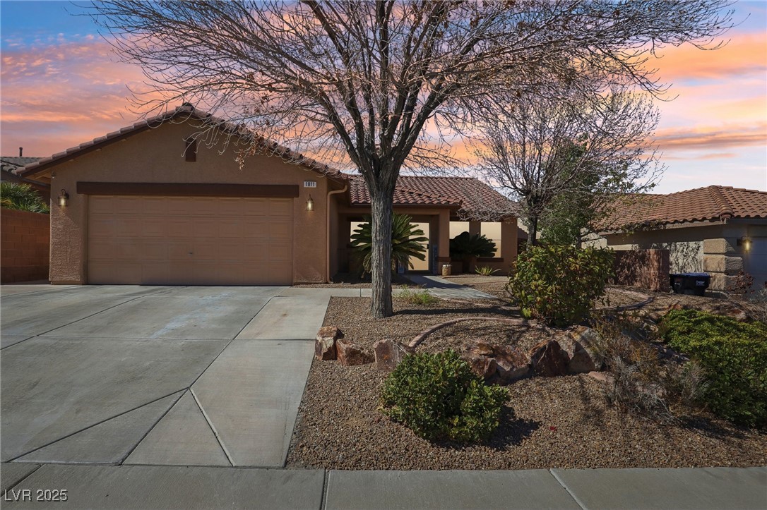 1011 Amber Gate Street Property Photo 1