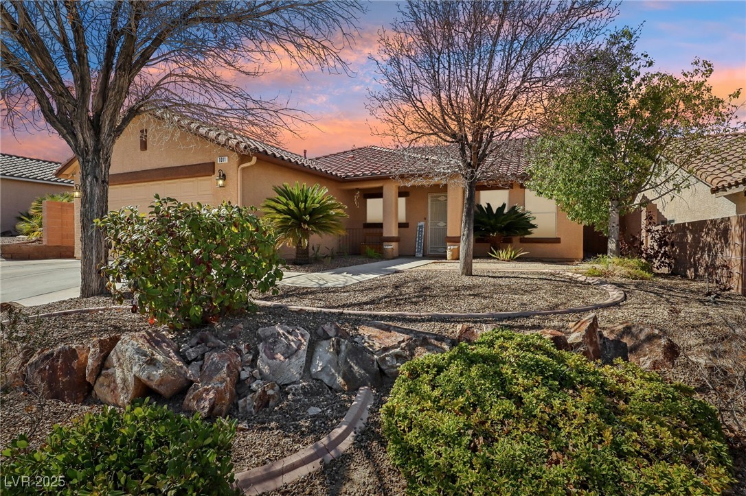 1011 Amber Gate Street Property Photo 2
