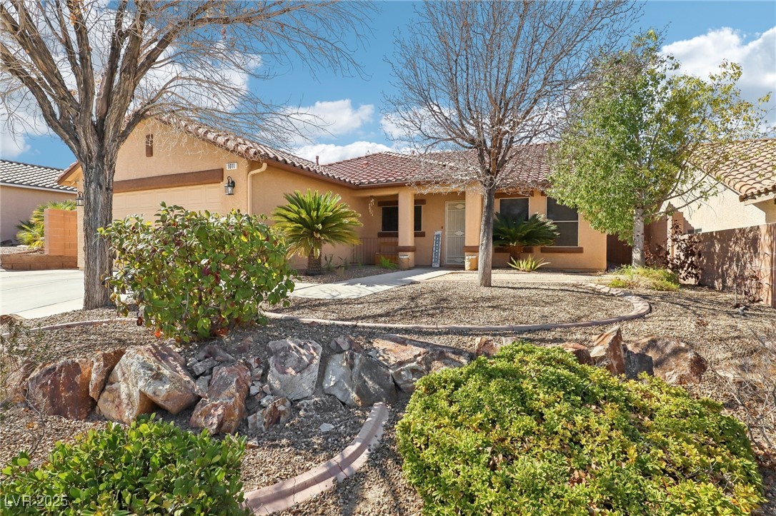 1011 Amber Gate Street Property Photo 3