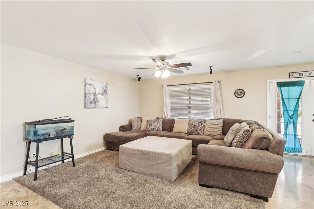 1011 Amber Gate Street Property Photo 11