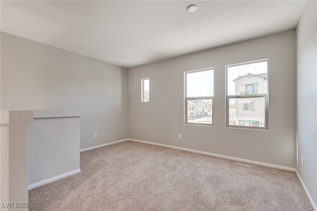 10246 Bloom Quick Court Property Photo 17