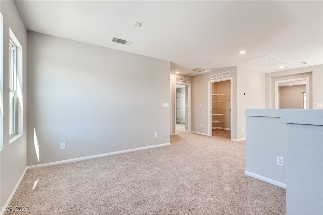10246 Bloom Quick Court Property Photo 18