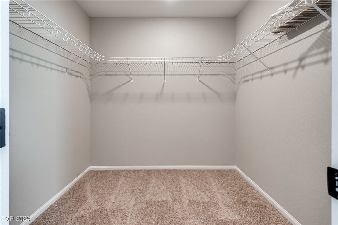 10246 Bloom Quick Court Property Photo 24