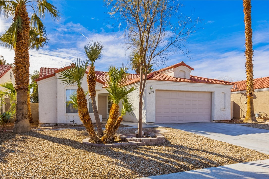 3925 Linniki Street Property Photo