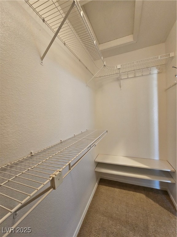 3104 Archwood Way Property Photo 25