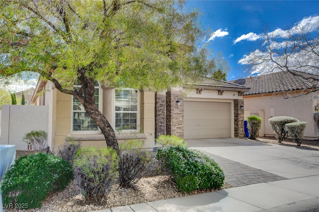 11023 Bellatrix Court Property Photo 2