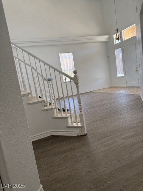4798 Luna Ridge Court Property Photo 17