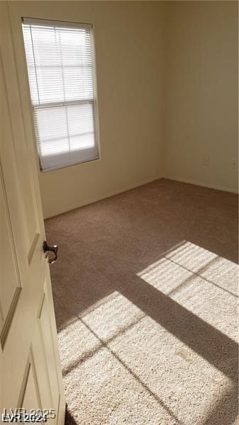 5413 Bristol Bend Court Property Photo 52