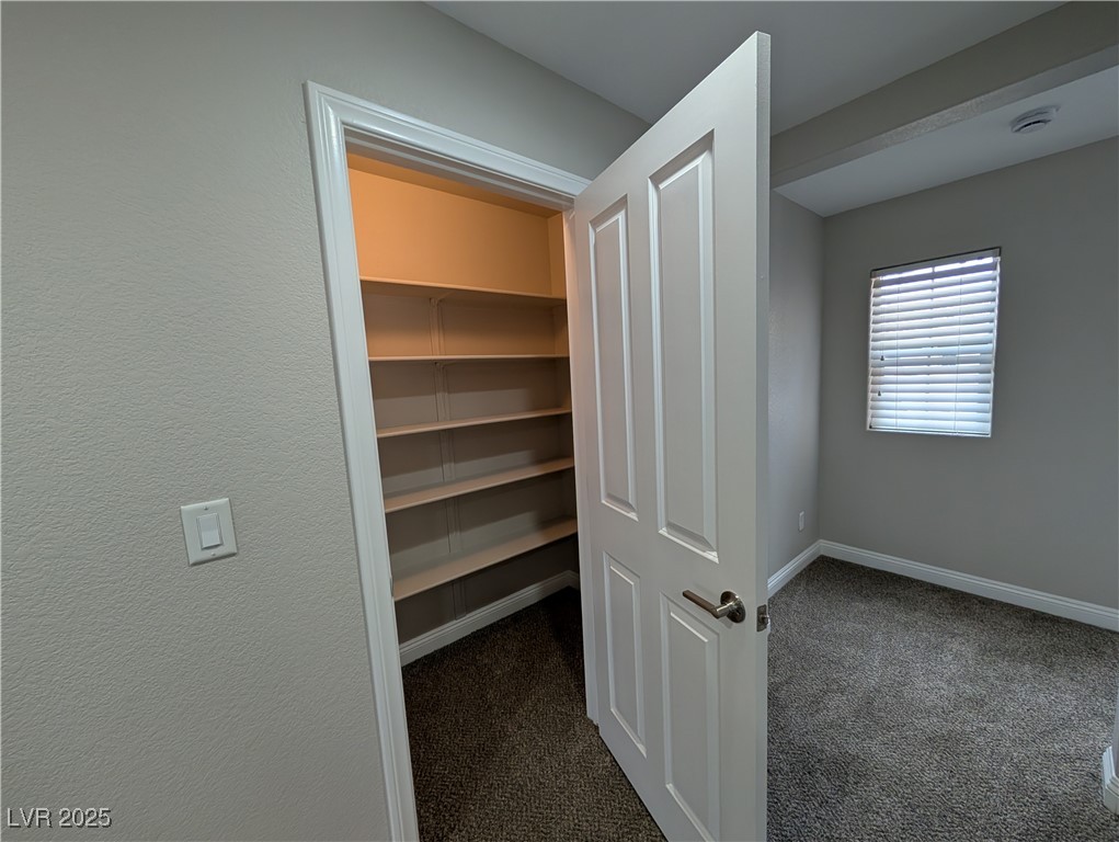 5535 Jett Canyon Street Property Photo 42