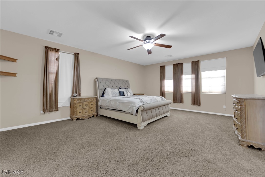 3213 Salutare Court Property Photo 22