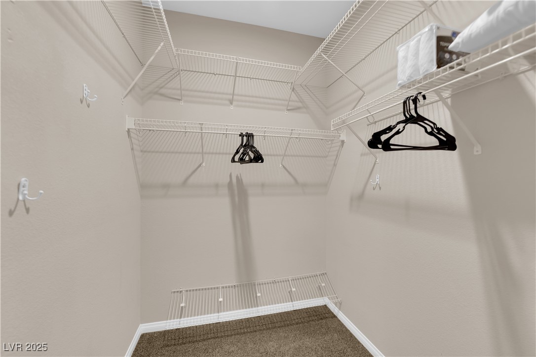 3213 Salutare Court Property Photo 33