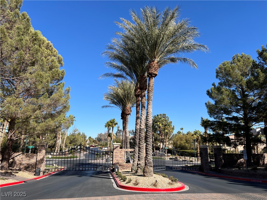 11009 Royal Highlands Street Property Photo 4
