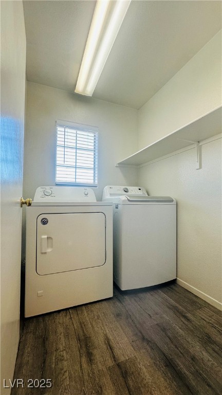 7985 Flower Seeds Street Property Photo 23