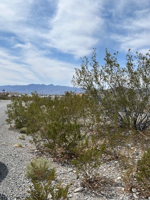 2260 South Pampa Avenue Property Photo 10