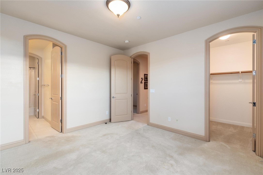 10008 Peak Lookout Street Property Photo 47