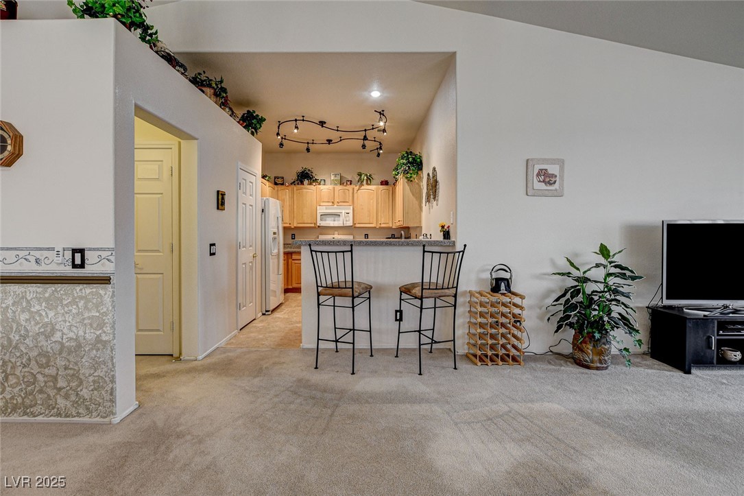 420 Blush Creek Place Property Photo 2
