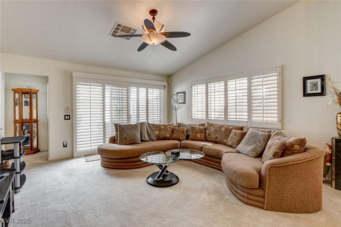 420 Blush Creek Place Property Photo 4