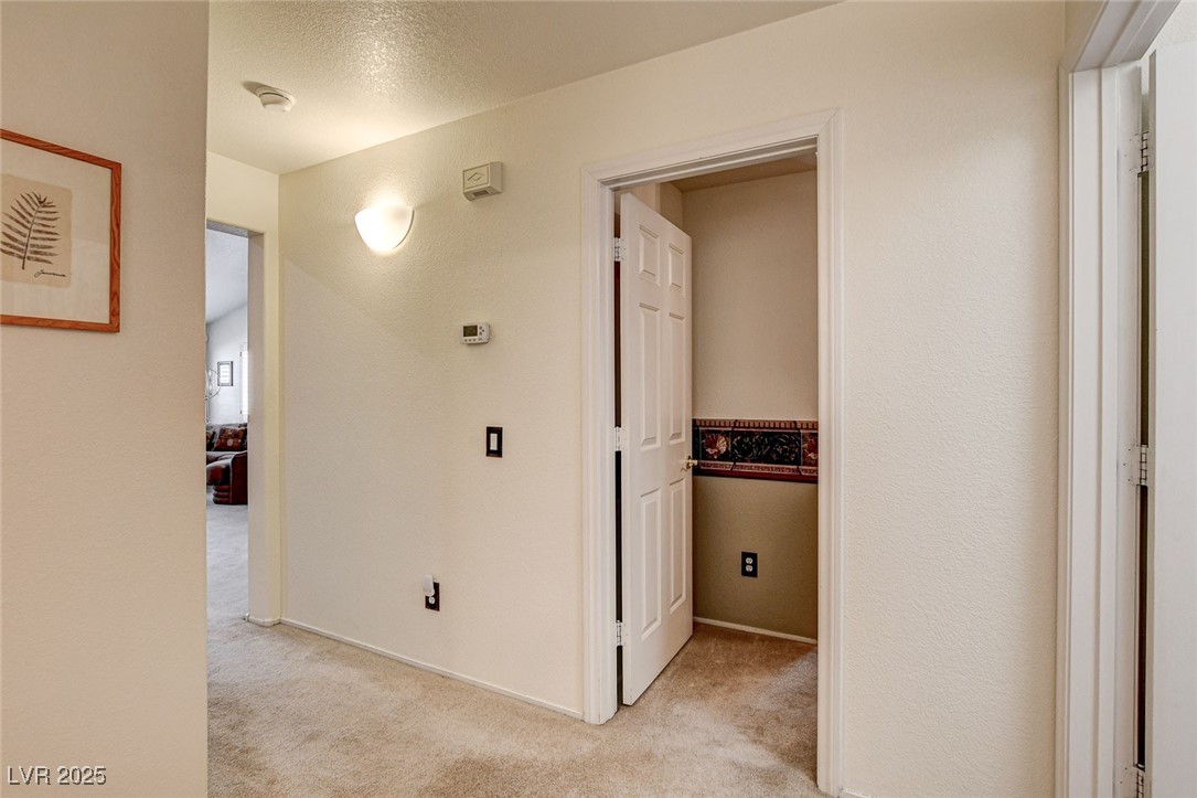 420 Blush Creek Place Property Photo 20