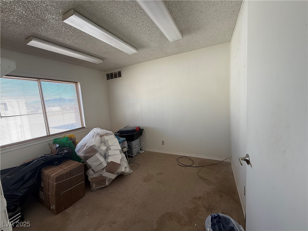 3431 Bison Street Property Photo 17