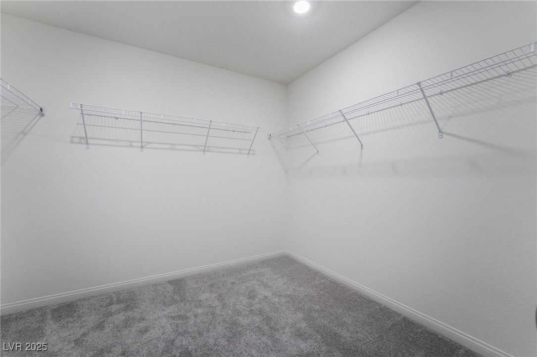 2840 Alfena Place Property Photo 22