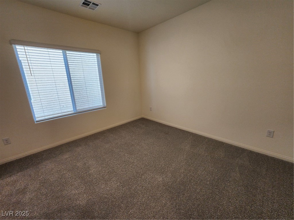 4500 Bayley Skye Avenue Property Photo 17