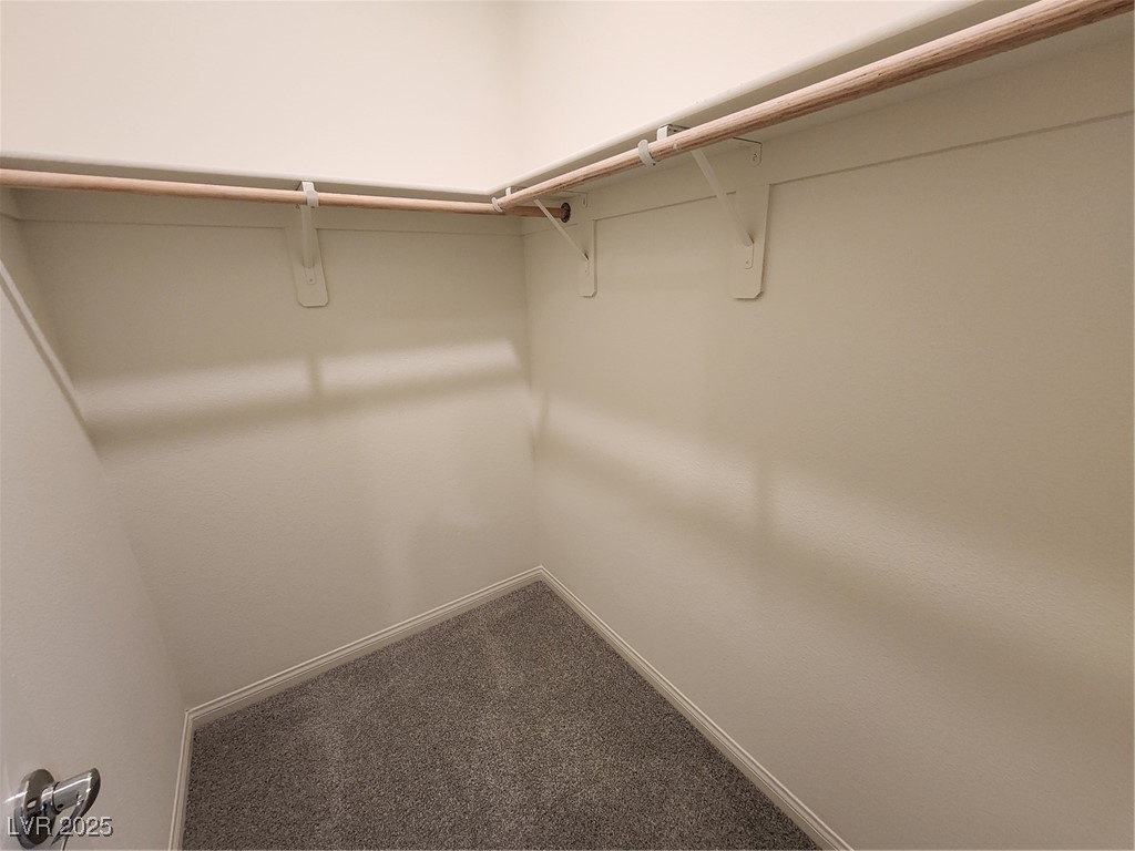 4500 Bayley Skye Avenue Property Photo 20