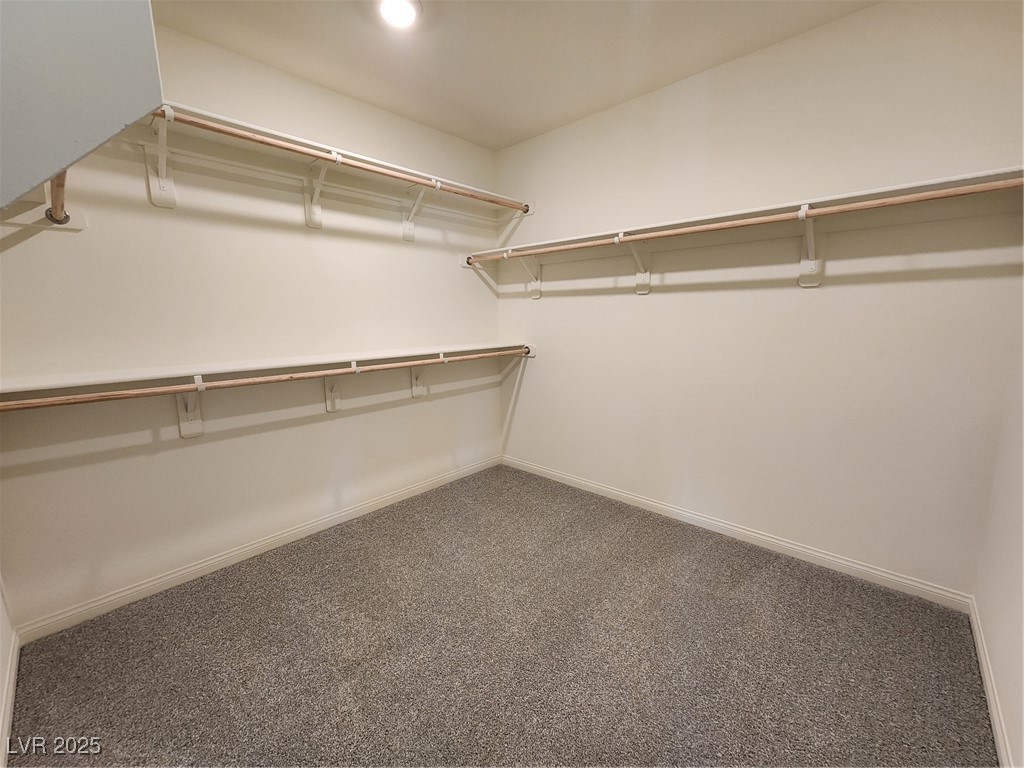 4500 Bayley Skye Avenue Property Photo 31