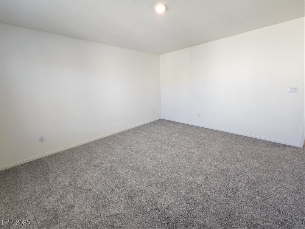 4500 Bayley Skye Avenue Property Photo 39