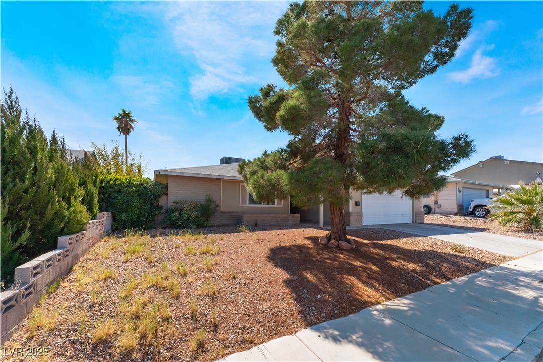 7817 Aplin Avenue Property Photo 37