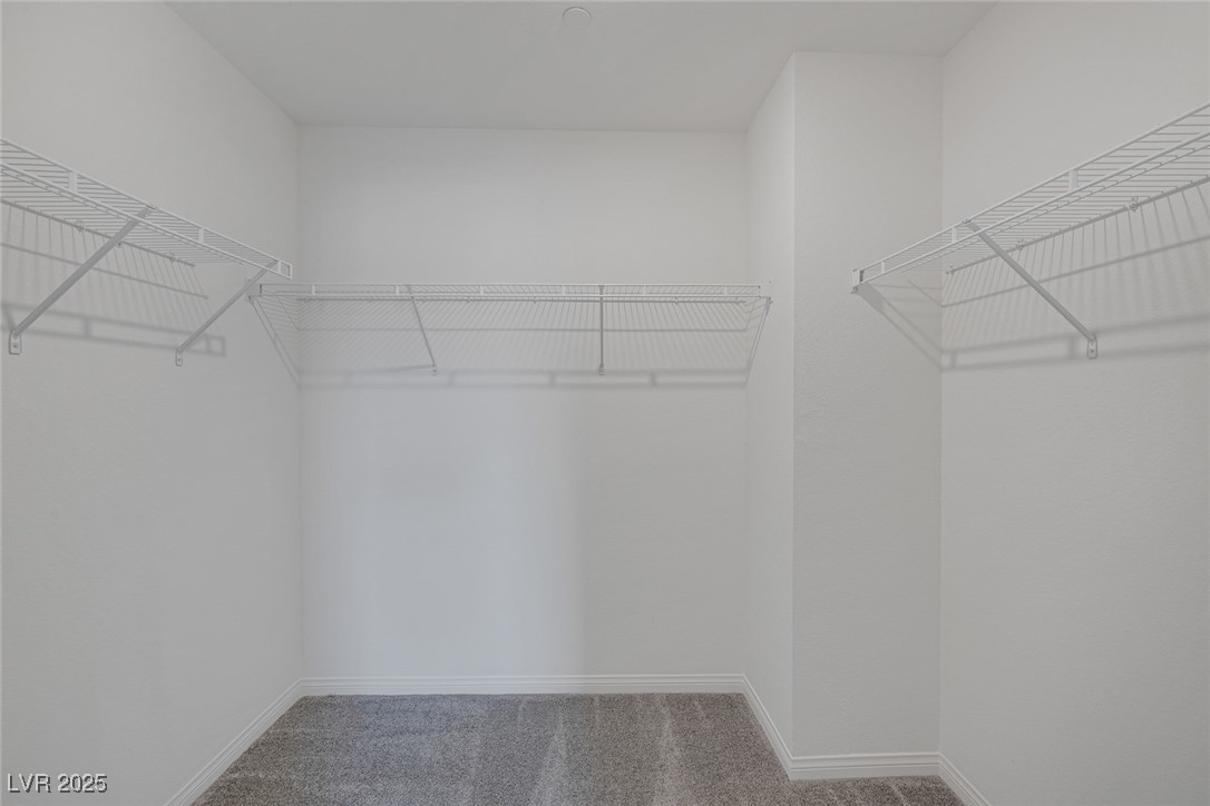 2731 Luzzi Walk Property Photo 16