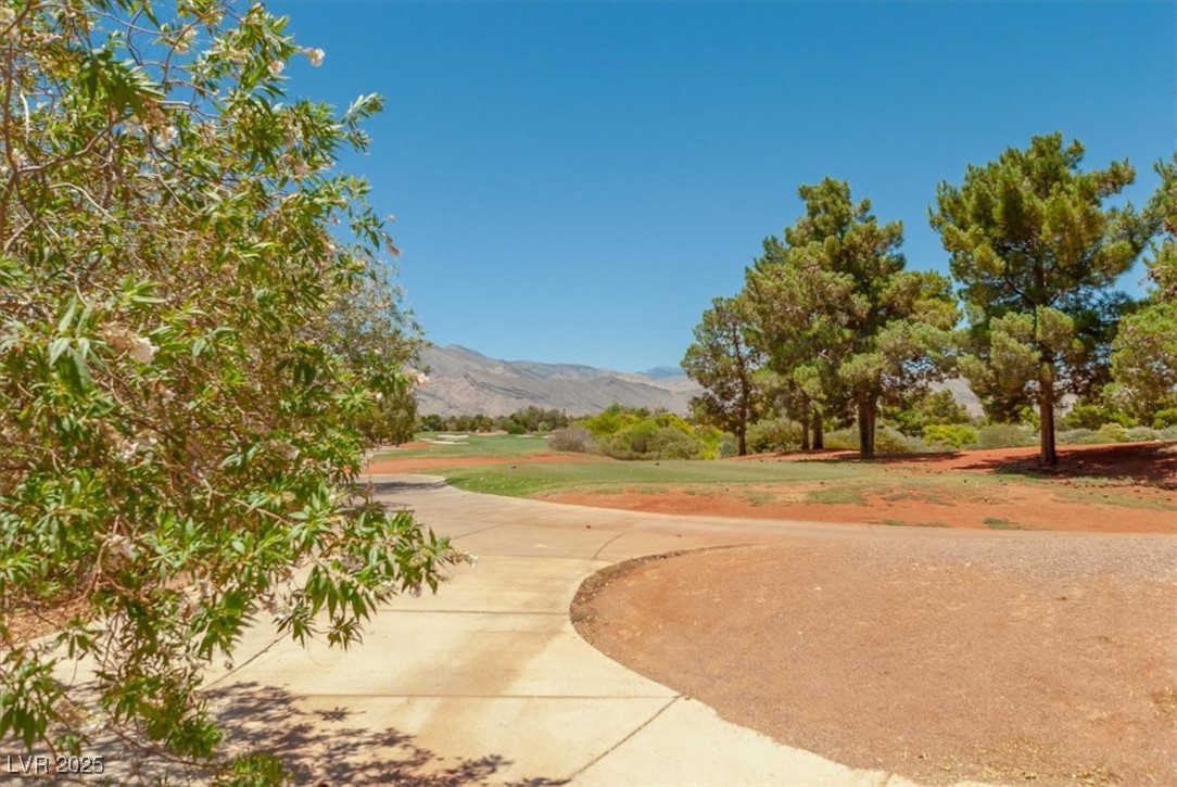 3505 Tuscany Village Drive Property Photo 49