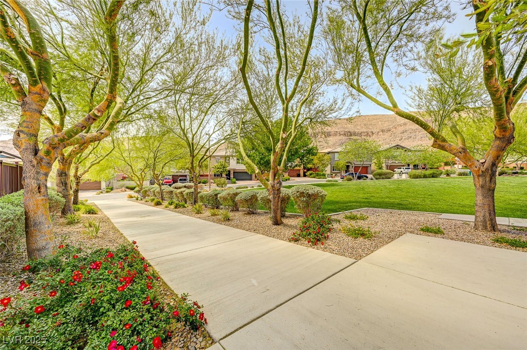 10564 Tranquil Glade Lane Property Photo 78
