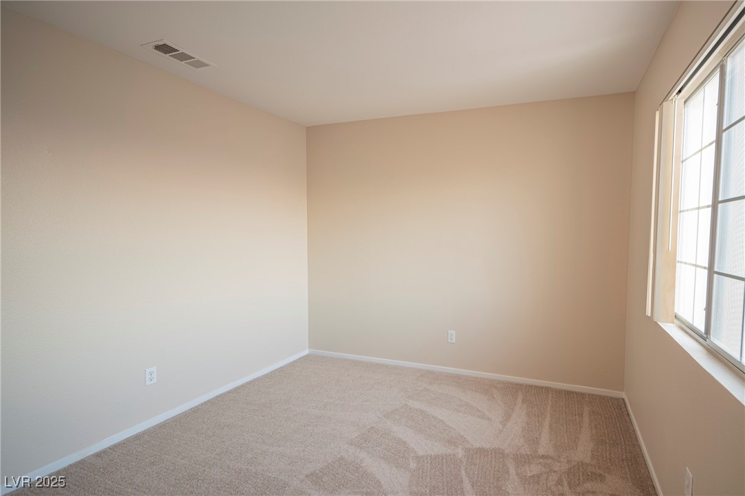 3725 Shanagolden Street Property Photo 14