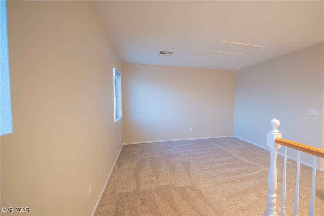 3725 Shanagolden Street Property Photo 17