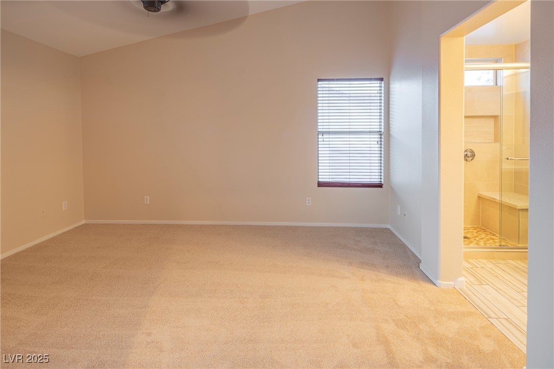 3725 Shanagolden Street Property Photo 23