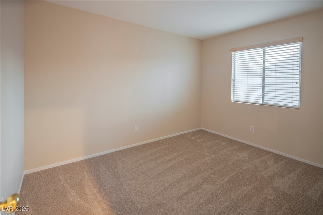 3725 Shanagolden Street Property Photo 26