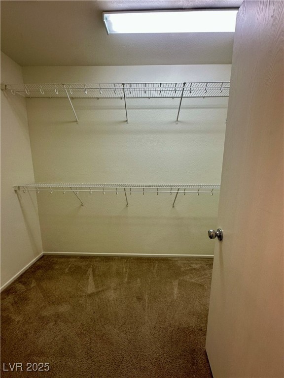 6658 Wind Whisper Street Property Photo 28