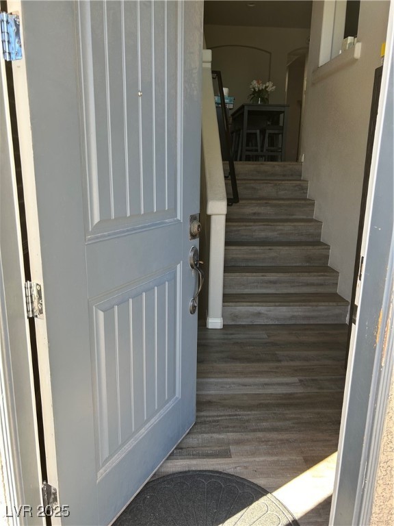 8113 Mineola Palms Street Property Photo 5
