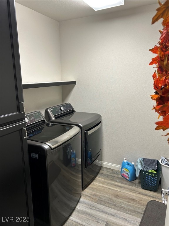 8113 Mineola Palms Street Property Photo 39