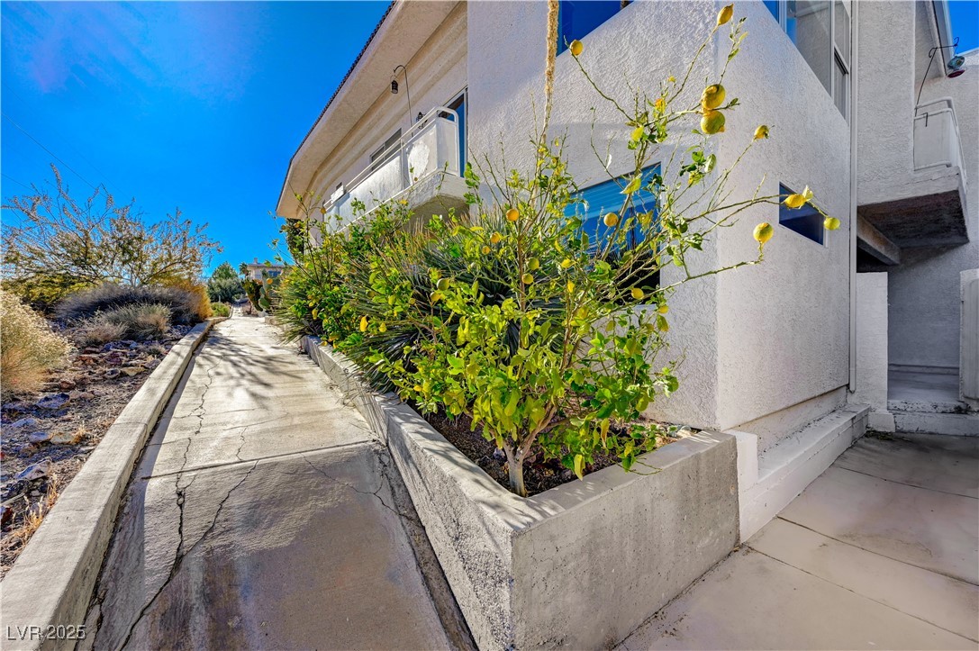 483 Marina Cove Property Photo 62