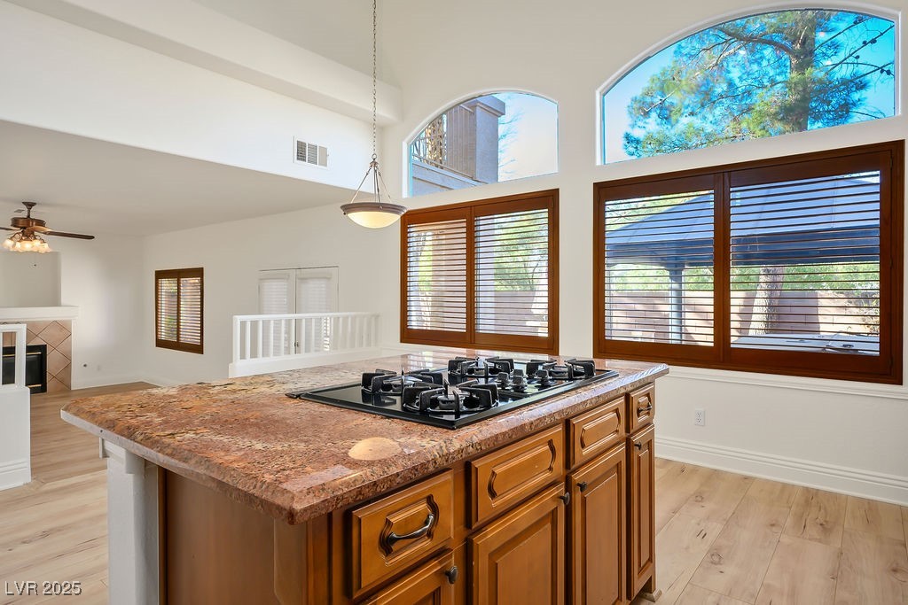 2204 Ambermill Court Property Photo 3