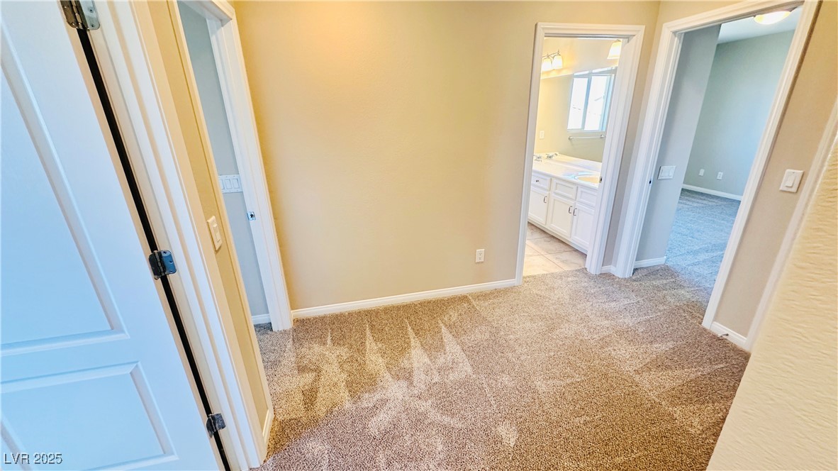 10716 Shasta Glow Court Property Photo 26