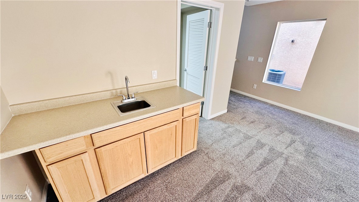 10716 Shasta Glow Court Property Photo 42